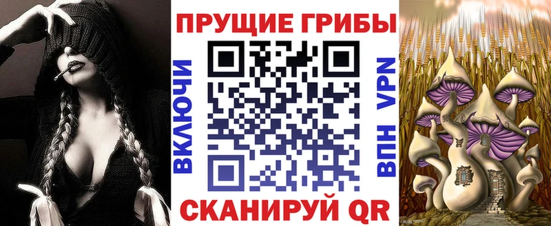 Купить где  Ярцево  Галлюциногенные грибы ЛСД 