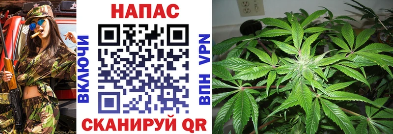 Бошки Шишки MAZAR Купить Ярцево